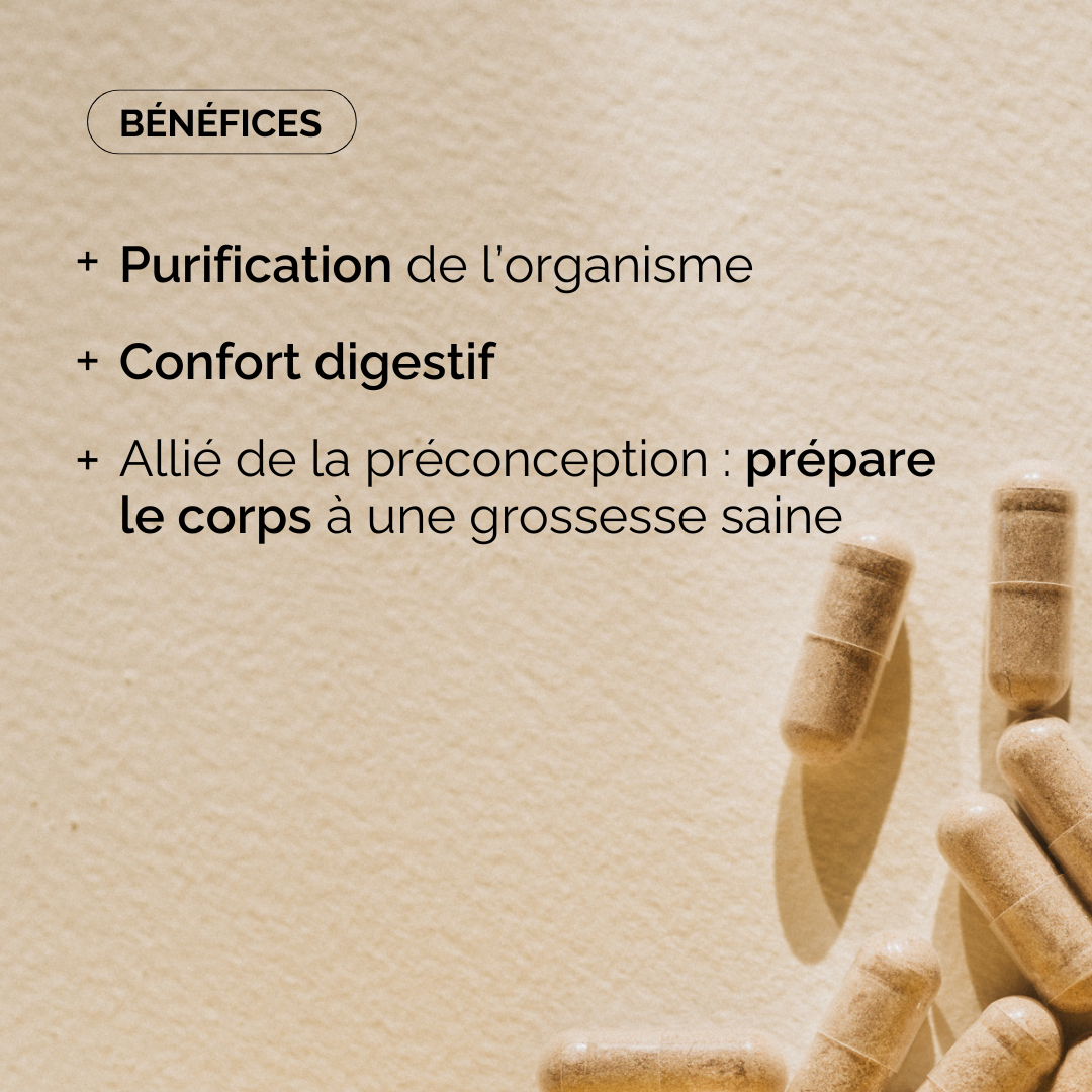 DÉTOX - RÉÉQUILIBRAGE DU CORPS