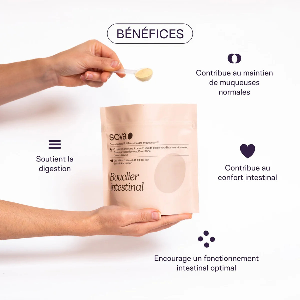 BOUCLIER INTESTINAL