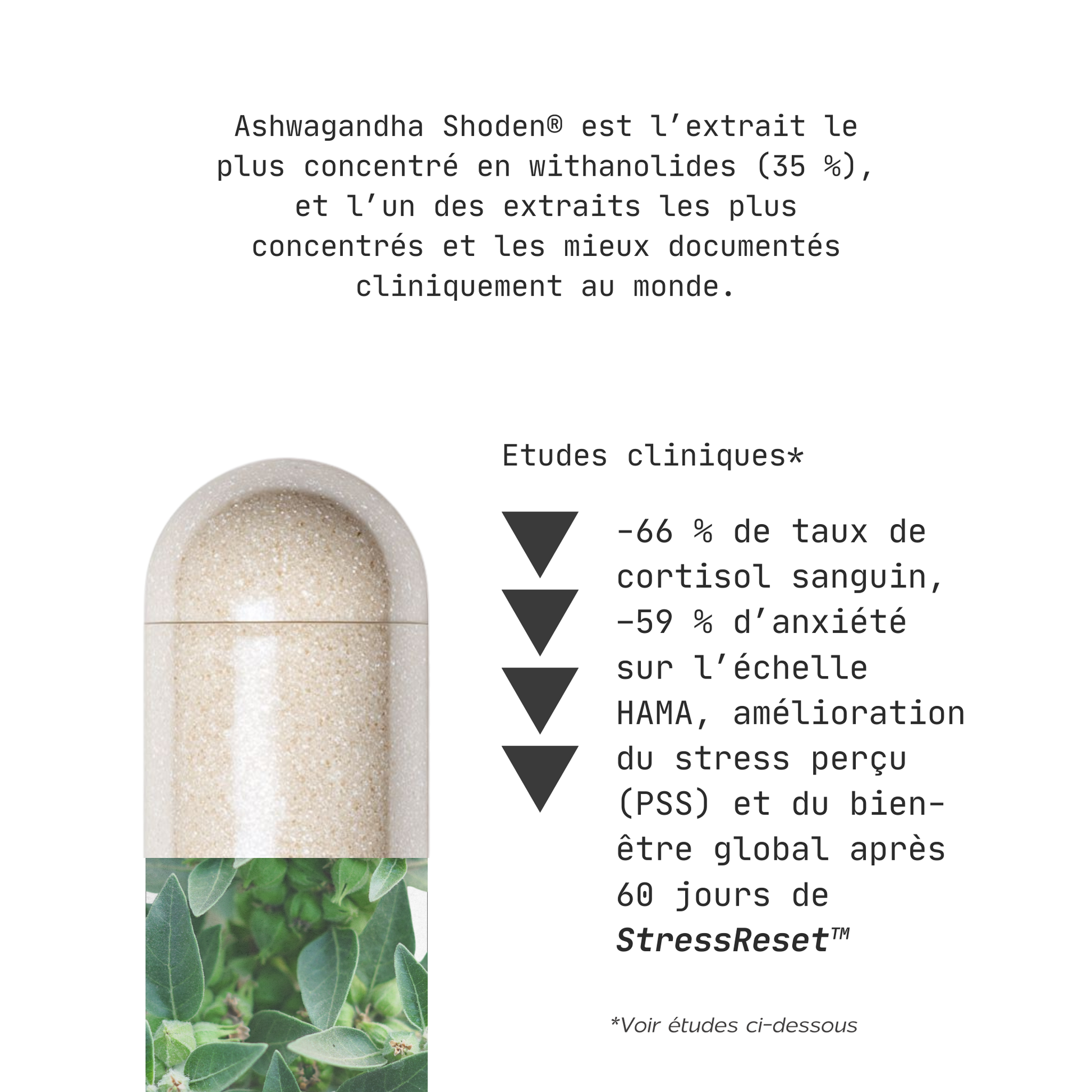 STRESS RESET - ASHAWAGANDHA - STRESS & HUMEUR - Image 3