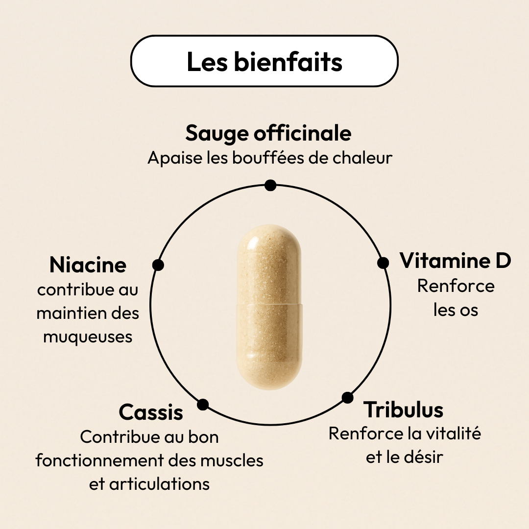 MÉNOPAUSE ACTIVE I TROUBLES ARTICULAIRES & BOUFFÉES DE CHALEURS