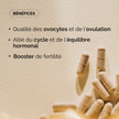 BABY BOOST NATUREL - FERTILITÉ FÉMININE - Image 2
