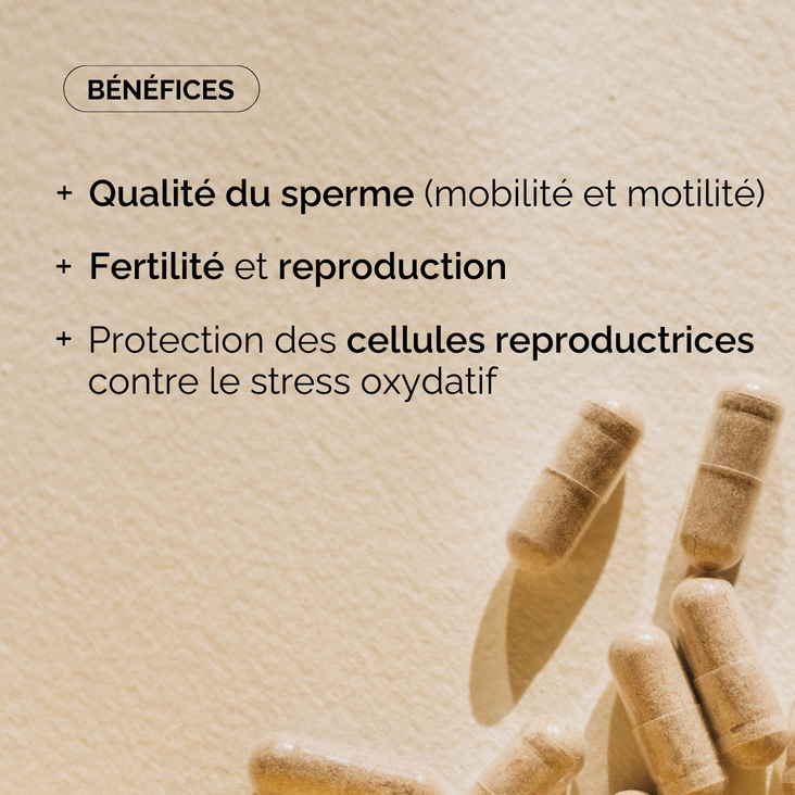 BABY BOOST HOMME - FERTILITÉ MASCULINE - Image 3