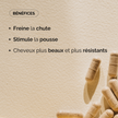 BABY HAIR I REPOUSSE CHEVEUX - Image 2