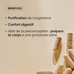 DÉTOX - RÉÉQUILIBRAGE DU CORPS