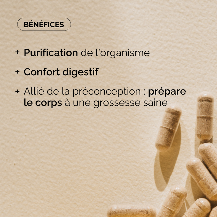 DÉTOX - RÉÉQUILIBRAGE DU CORPS
