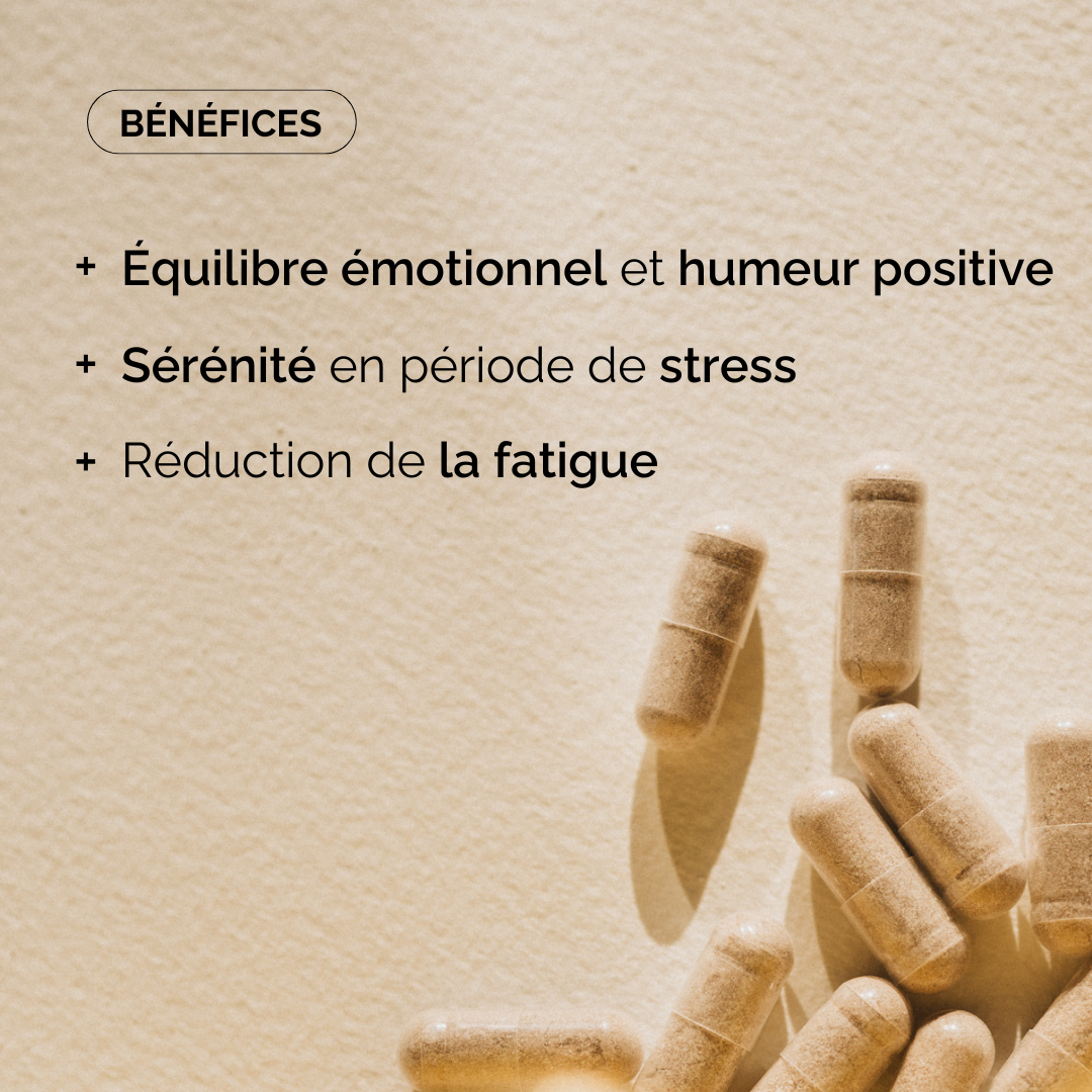 MORAL BOOST (POST-PARTUM) I SOUTIEN ÉMOTIONNEL