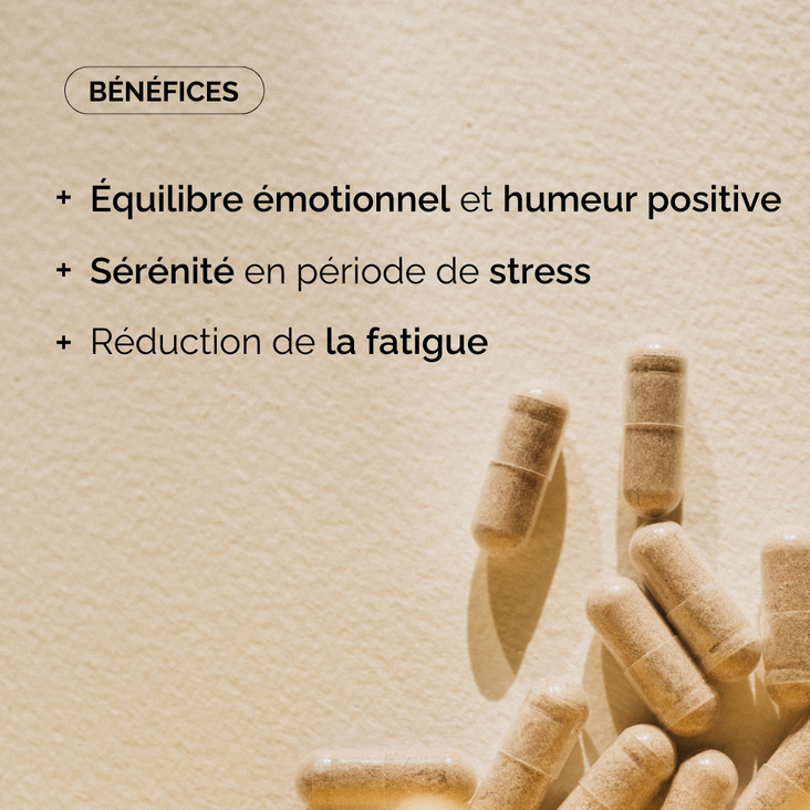 MORAL BOOST I SOUTIEN ÉMOTIONNEL