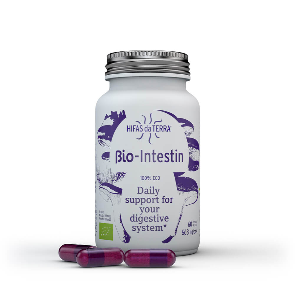 bio-intestin hifas da terra