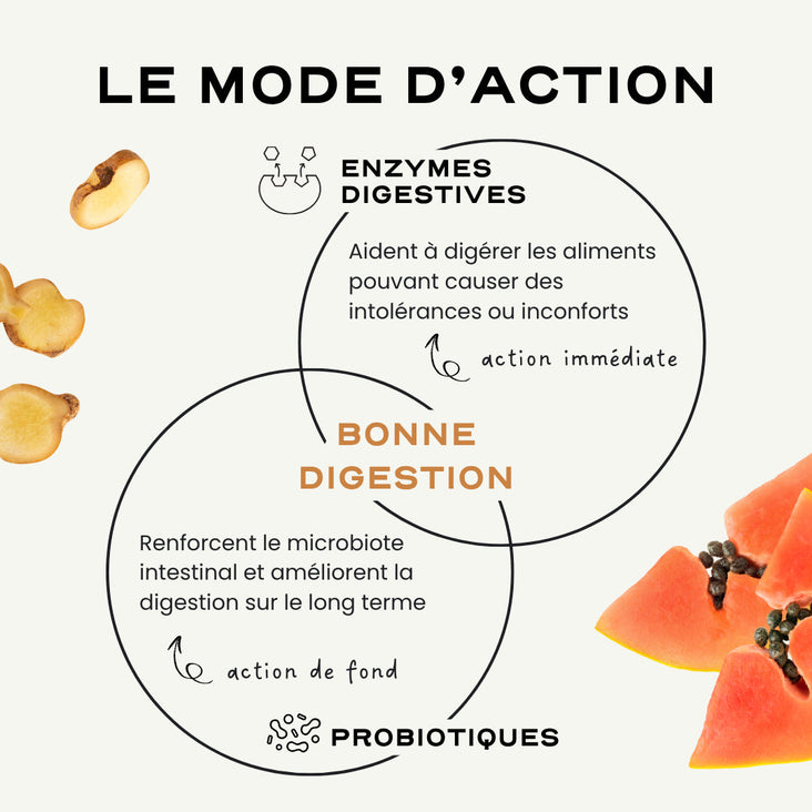 DIGEST - ÉQUILIBRE DE LA FLORE INTESTINALE