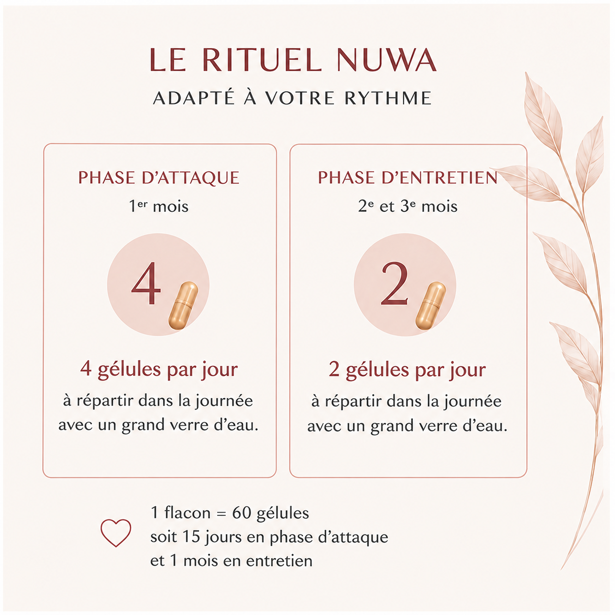 CURE MÉNOPAUSE - Bouffées de chaleur, humeur et fatigue