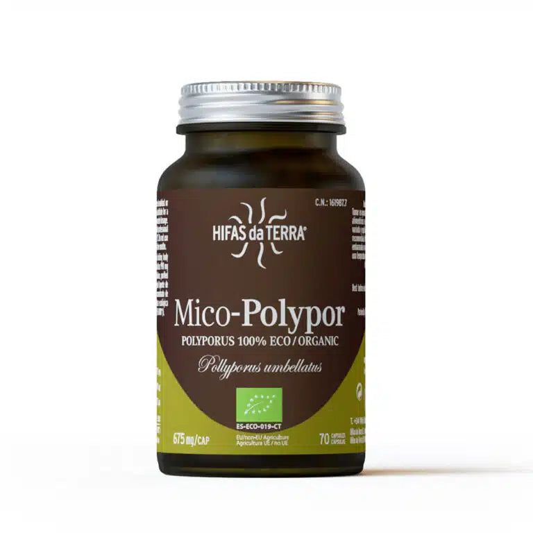 mico polypor hifas da terra