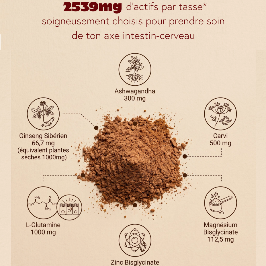 CHAI CHOCO NOISETTE - Confort digestif