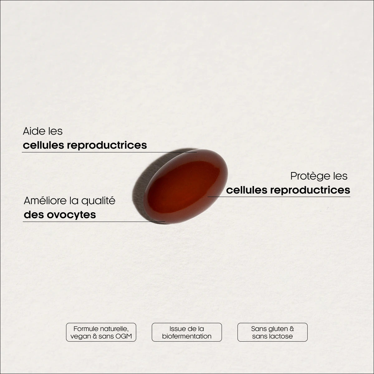 COENZYME Q10 - BOOSTER LA FERTILITÉ