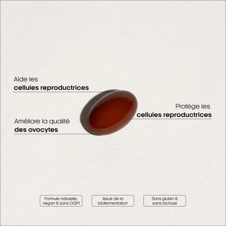 COENZYME Q10 - BOOSTER LA FERTILITÉ - Image 2