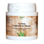 CURE BOULEAU & VERGERETTE DU CANADA - DÉTOX ET DRAINAGE
