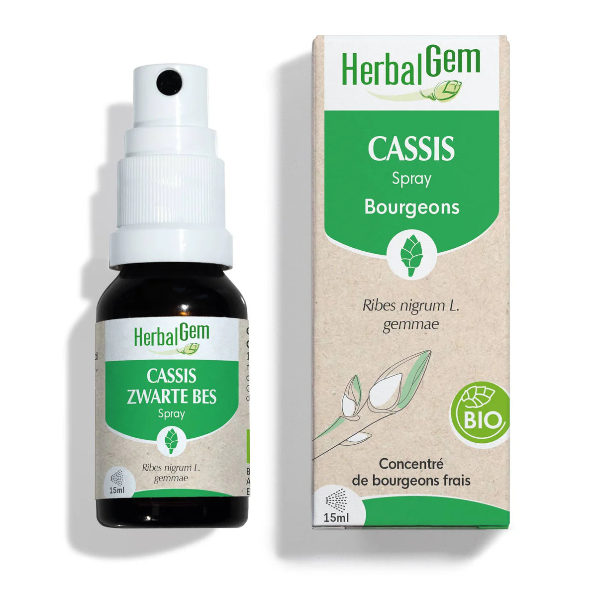 SPRAY BOURGEON DE CASSIS 15 ML