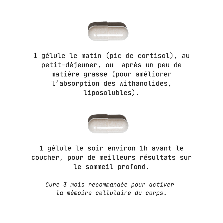 STRESS RESET - ASHAWAGANDHA - STRESS & HUMEUR