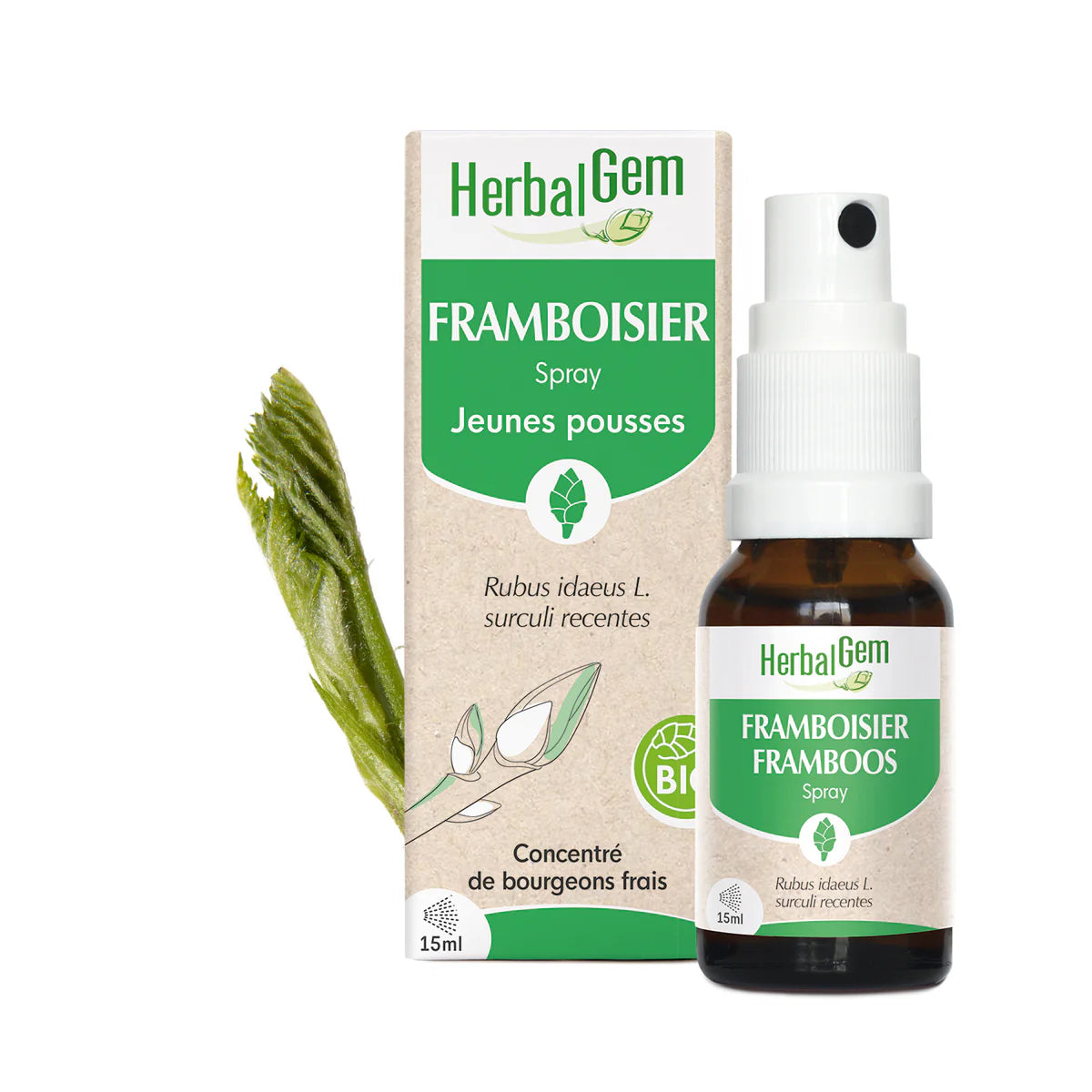 SPRAY BOURGEON DE FRAMBOISIER 15ML