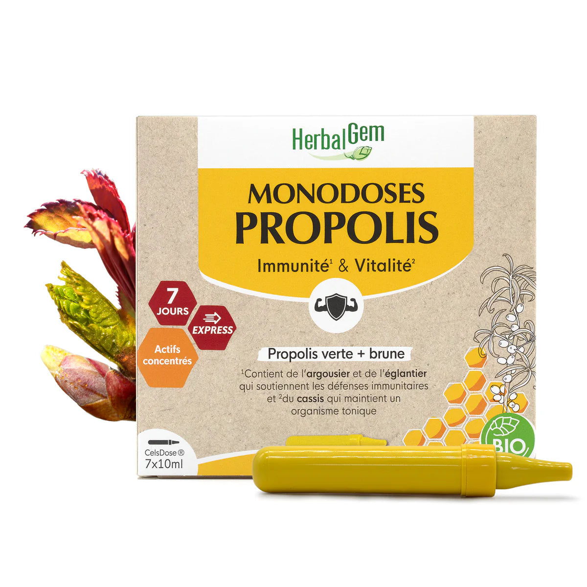 PROPOLIS MONODOSE